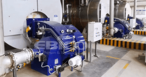 AVIC Chengfei (civilian) 6-ton Steam Boiler Burner Low-nitrogen Transformation Project