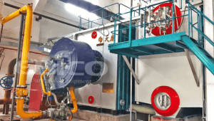 Zhongjin Lingnan (Shaoguan) Smelter’s Low-nitrogen Burner Project for 50-ton Steam Boiler