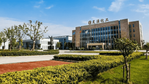 Anhui Haoyuan 15 million kcal thermal oil furnace project